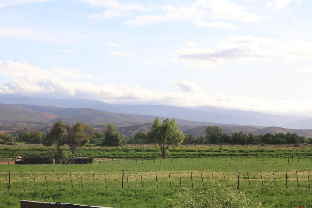 Grysbok Self Catering Accommodation オーツホーン エクステリア 写真