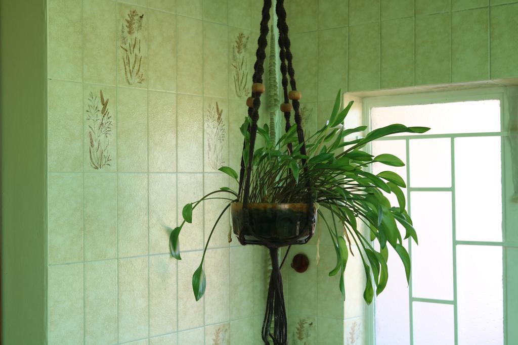 Grysbok Self Catering Accommodation オーツホーン エクステリア 写真